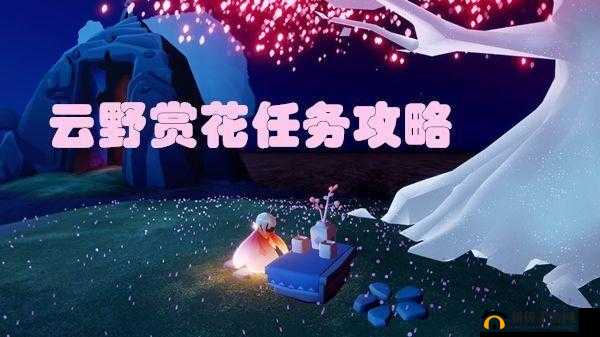 光遇云野春日寻花指南:绝美赏花点全揭秘