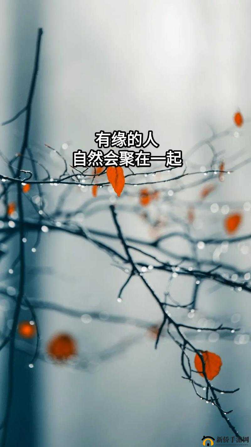梦幻奇缘启航行,有缘坊里千里情相聚