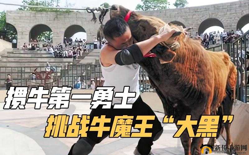 沙巴克传奇:牛魔王挑战之路