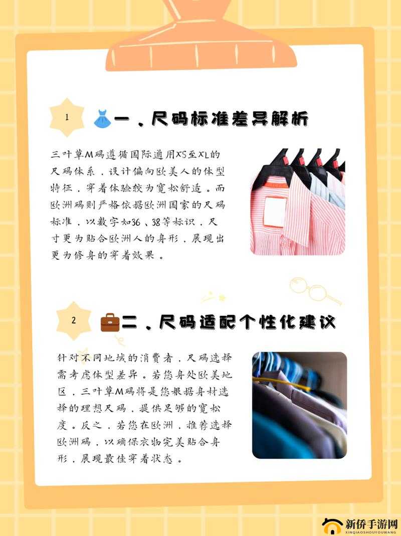 三叶草 M 码与欧洲码区别解析