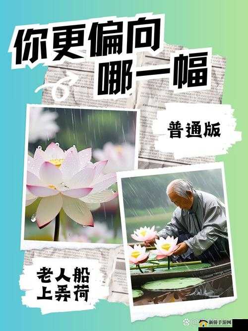老人船上弄雨荷和普通版对比：差异与特色