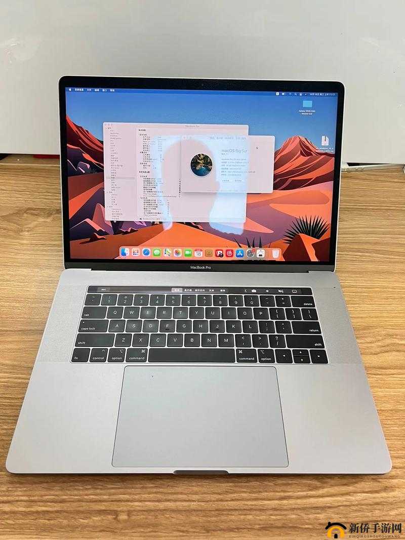 18 岁 MacbookPro 高清：青春专属的极致体验