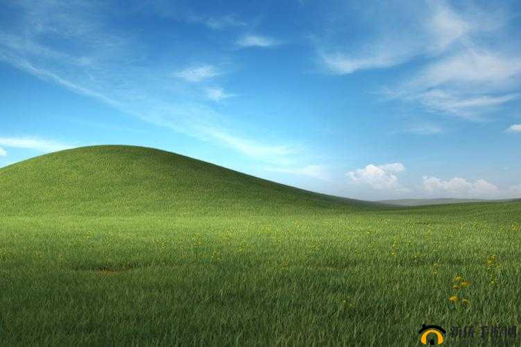 中国高清 WINDOWS 视频：广泛应用于多种场景