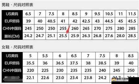 三叶草欧码与亚洲尺码对比分析