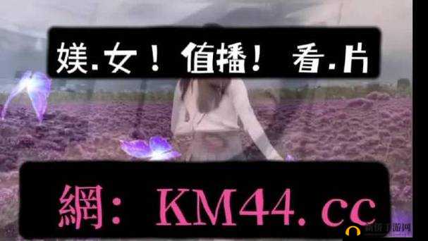 A 区 B 区 C 区 D：一场神秘的无线乱码之旅