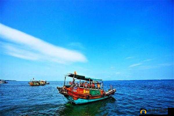 畅游海洋,捕鱼乐趣无限