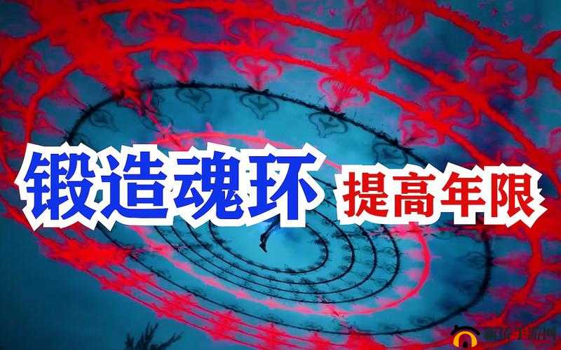 斗罗大陆魂王的魂环为何如此神秘?探寻魂环的获取之地