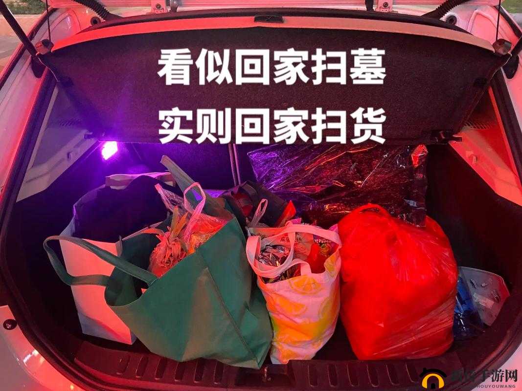 小扫货能么多叫出来:背后的秘密