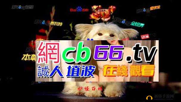 成品网源码 78w78:打造你的专属网站