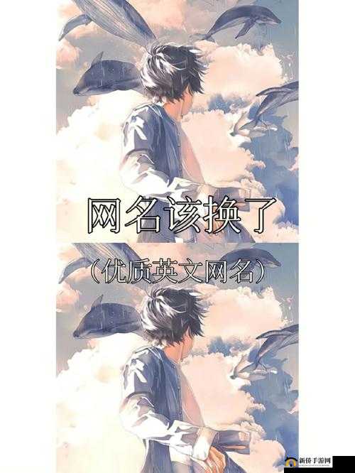 yw8827 换哪个网名了:求解