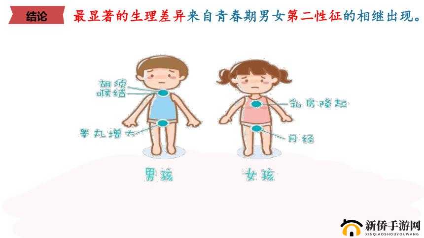 男生女生一起:探索性别的奥秘