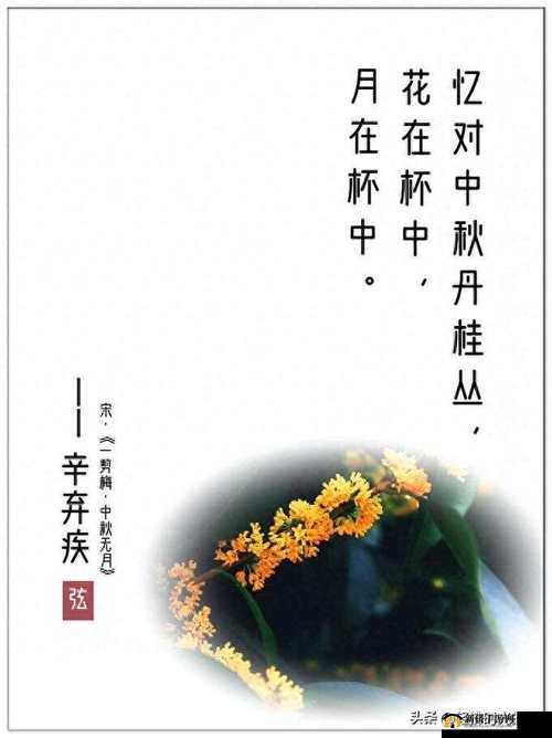 亭亭玉立国色天香四月天:人间最美的时节