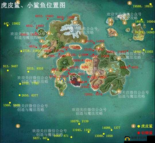 以创造与魔法为主题:探索鲨鱼的藏身之地与捕捉之法