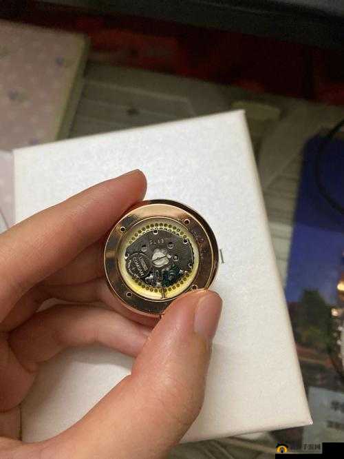 意大利满天星 A 级是正规还是仿:探寻真相
