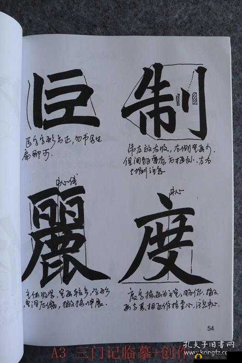 三门同开怎么玩:详细解析与技巧