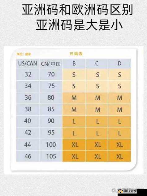 亚洲尺码欧洲尺码对照：差异与适配指南