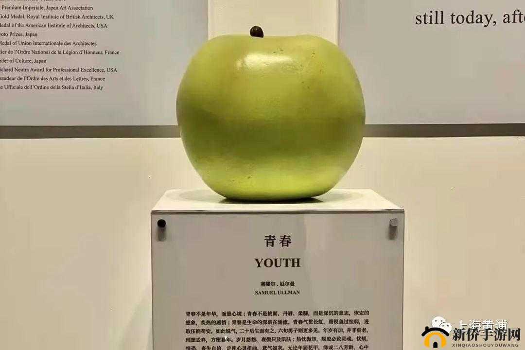 姐妹们遇见过的最大的有多大:盘点那些年的巨物