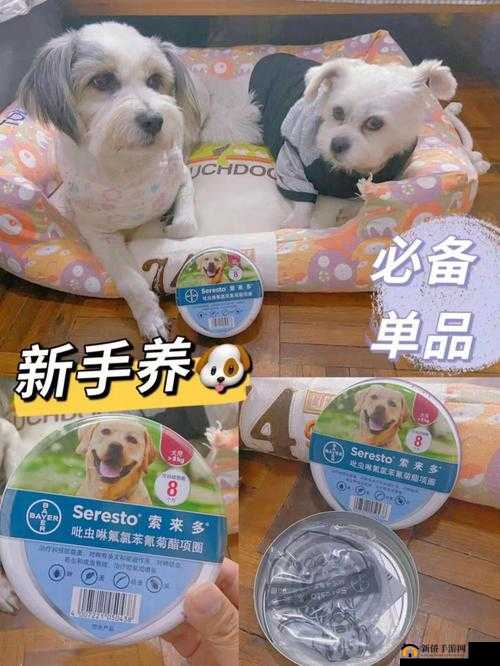 人狗胶配方大全狗狗一：详细配方全揭秘