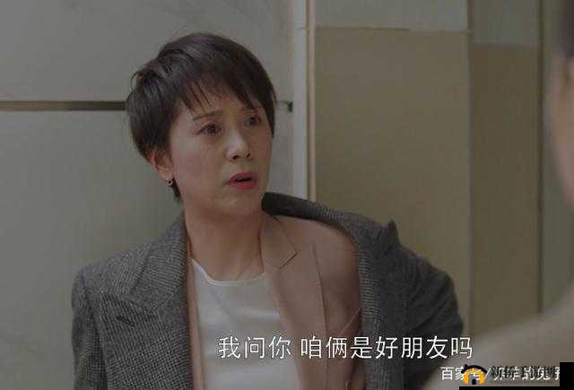 开局双飞宋倩董文洁：别样精彩剧情开启