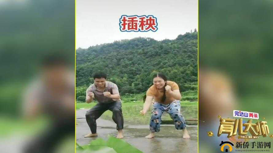 情侣插秧的 100 种方法：实用指南