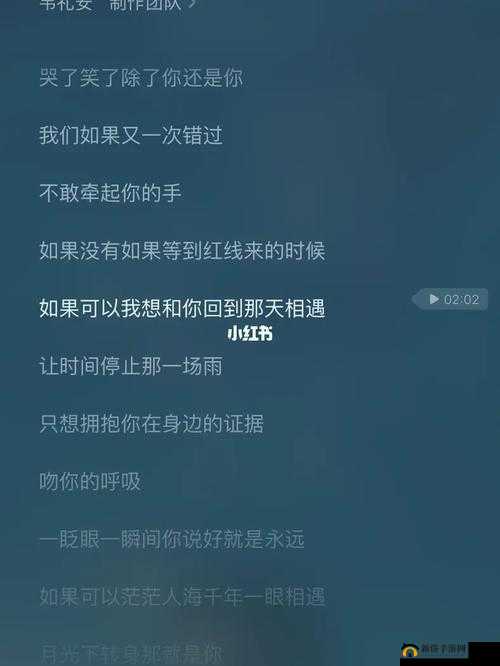 如果真的有一天爱情理想会实现究竟是哪首歌引发的感慨