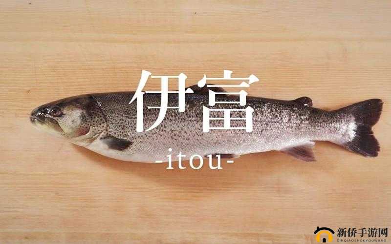 符文工房 5 伊富鱼生鱼片制作秘籍,你想知道的都在这里