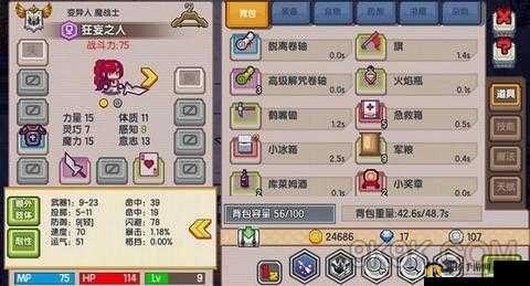 伊洛纳中伙伴选择的策略与技巧探讨