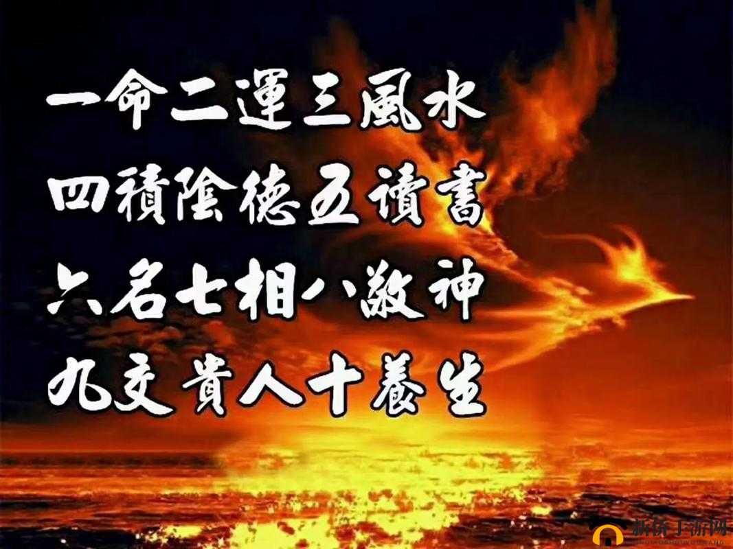 一体 7 交是哪五个地方:探寻其背后的奥秘