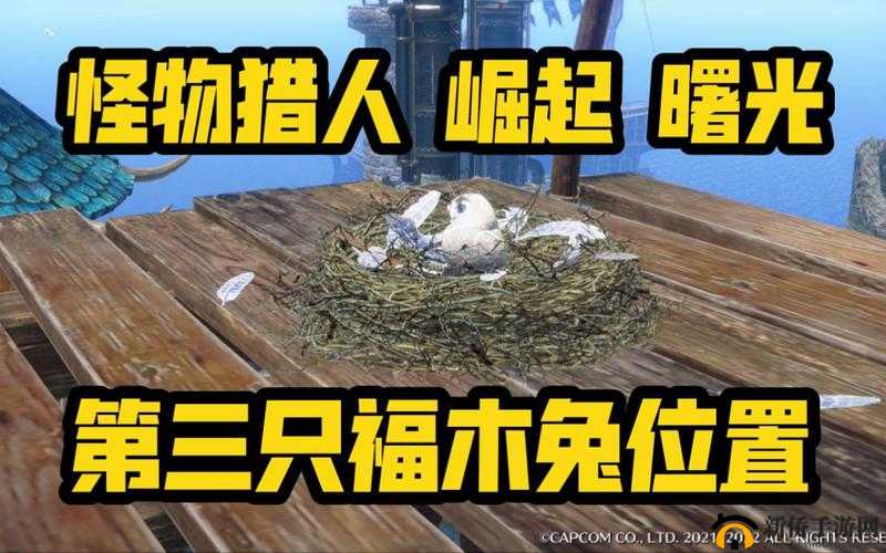 怪物猎人崛起曙光中福木兔的位置详细分享与全面一览