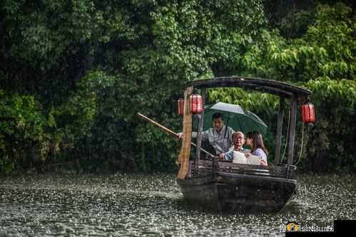 老人:雨婷,船上的雨让我着迷