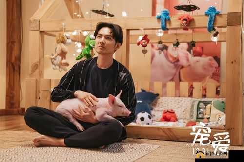ZoomkooL 大全猪：集万千宠爱于一身