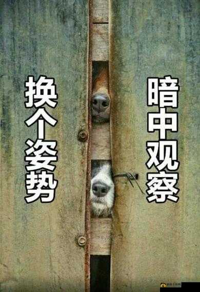 换个姿势再来一遍:全新体验之旅