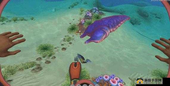 深海迷航日记：海底最小生物排行之美丽水世界最小生物Top9——小小精灵探秘记