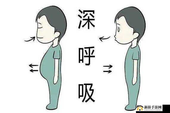 《破壁重生,杀戮尖塔:深呼吸》——深度解析深呼吸效果费用与类型