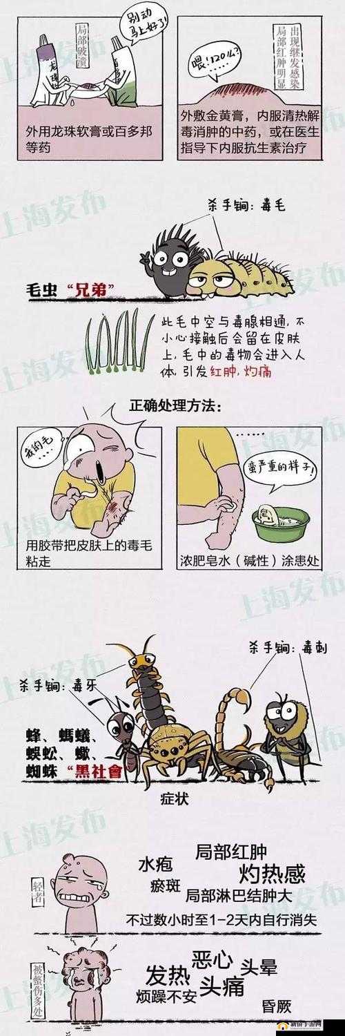 以策略为核心,深度解析虫虫大作战的生存技巧指南