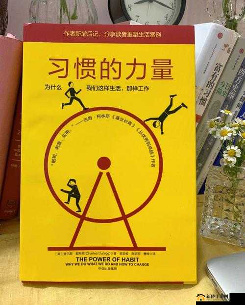 《炉石传说:邦桑迪的神秘神龛秘典:力量与智慧的宝典》