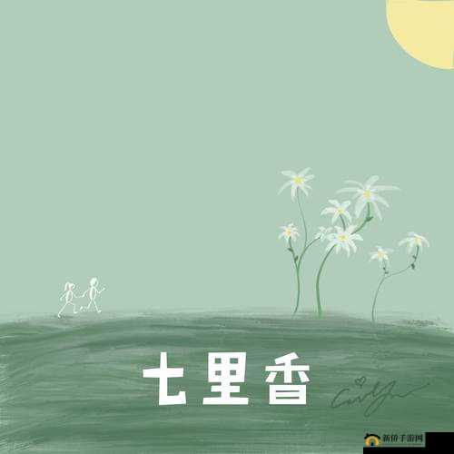 七里香社区在线看：畅享各类精彩节目