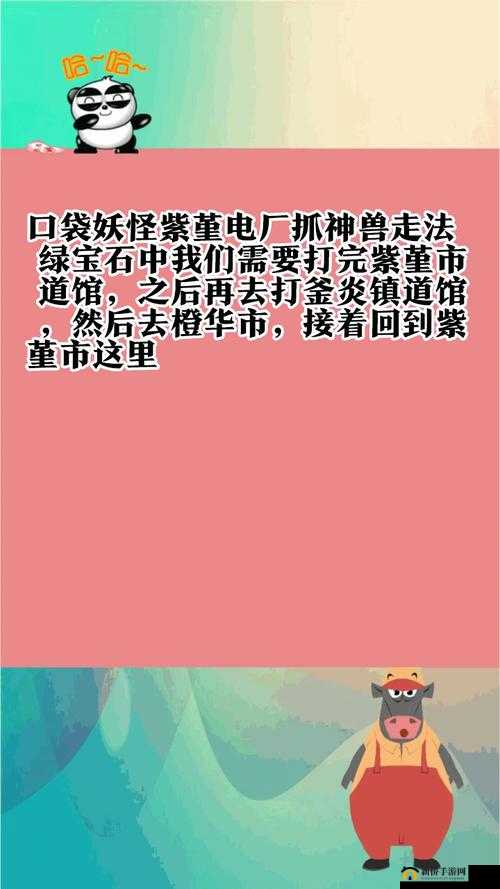 探索口袋妖怪紫堇电厂神秘独特走法之旅