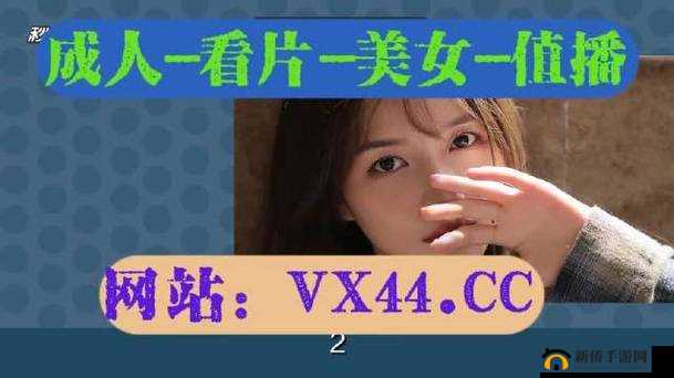 解析成品网站 美钕资源三叶草下载:带你探索未知的网络世界