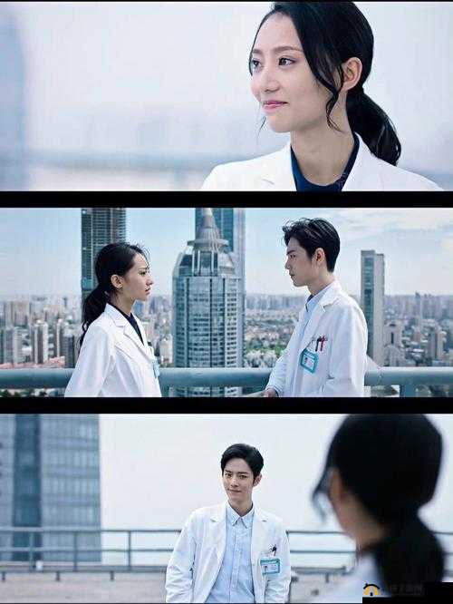 成全视频观看：尽在本视频