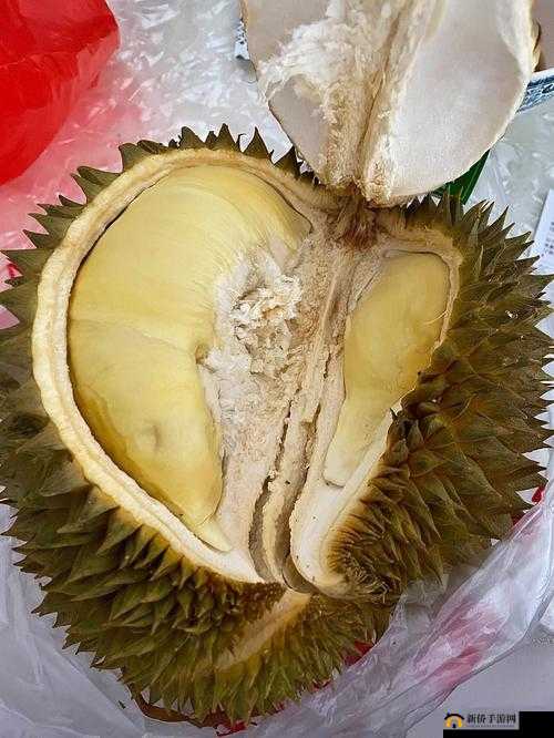 榴莲香蕉苹果哈密瓜水蜜桃全集精彩发布