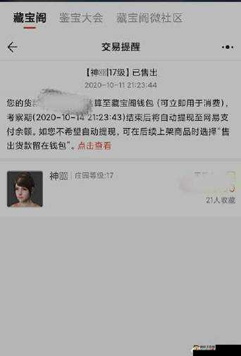未满十八岁显示提供了入口进入：藏宝阁的责任与挑战