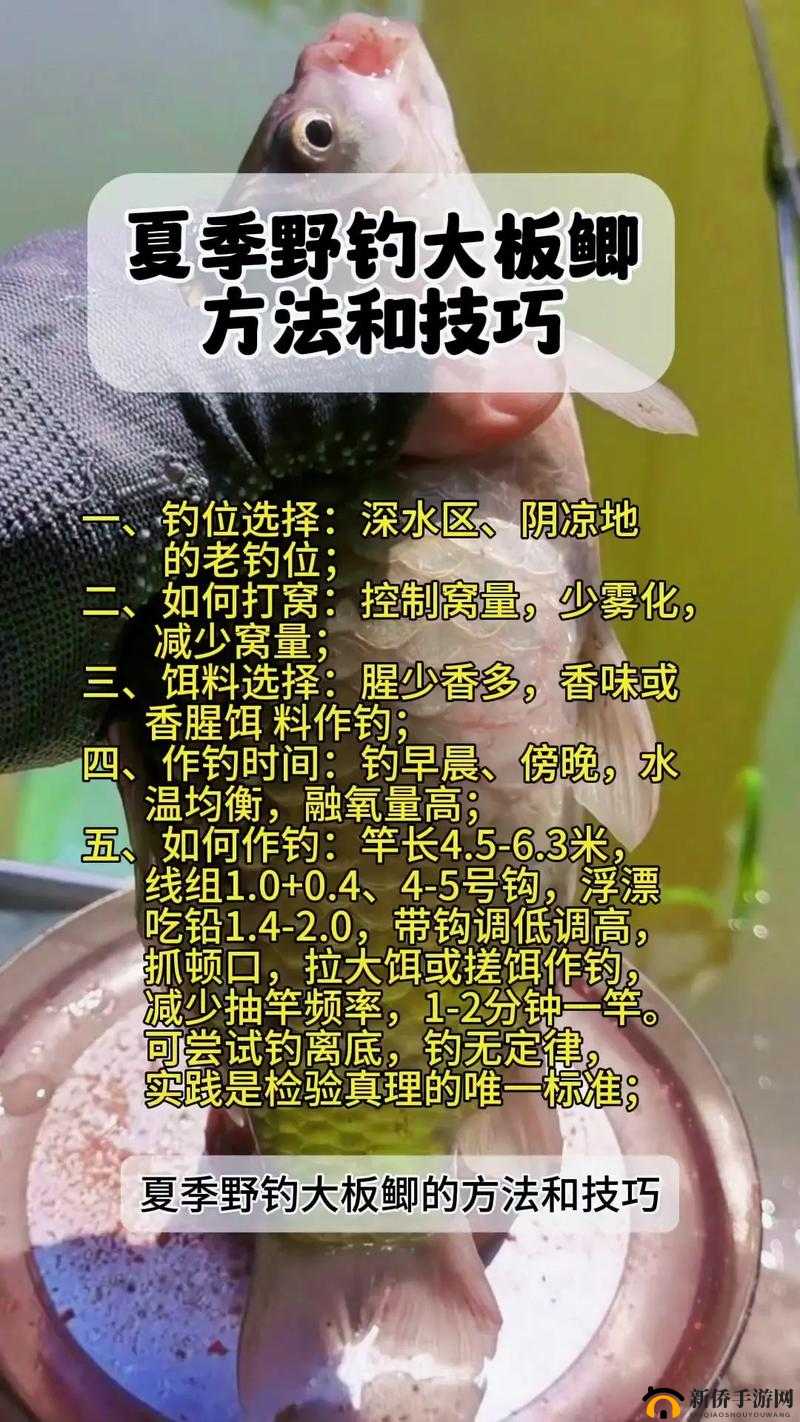 钓鱼技巧大揭秘 全民钓鱼的正确玩法全知道
