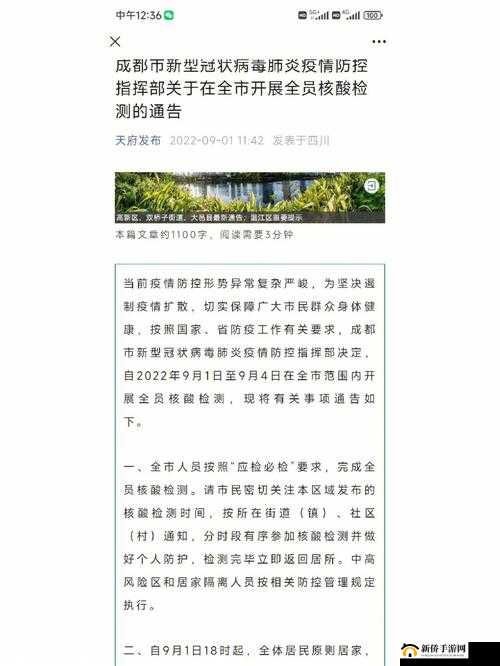 九一高危风险 9.1 免费版安装：需谨慎使用