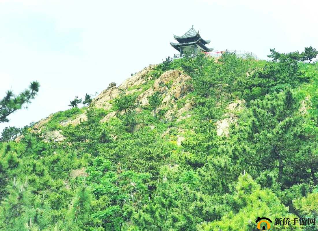 国产自产 C13 区：探索神秘之地