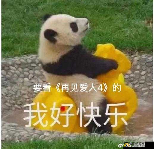 被抱起来撞到哭 2024：探索未知的情感之旅