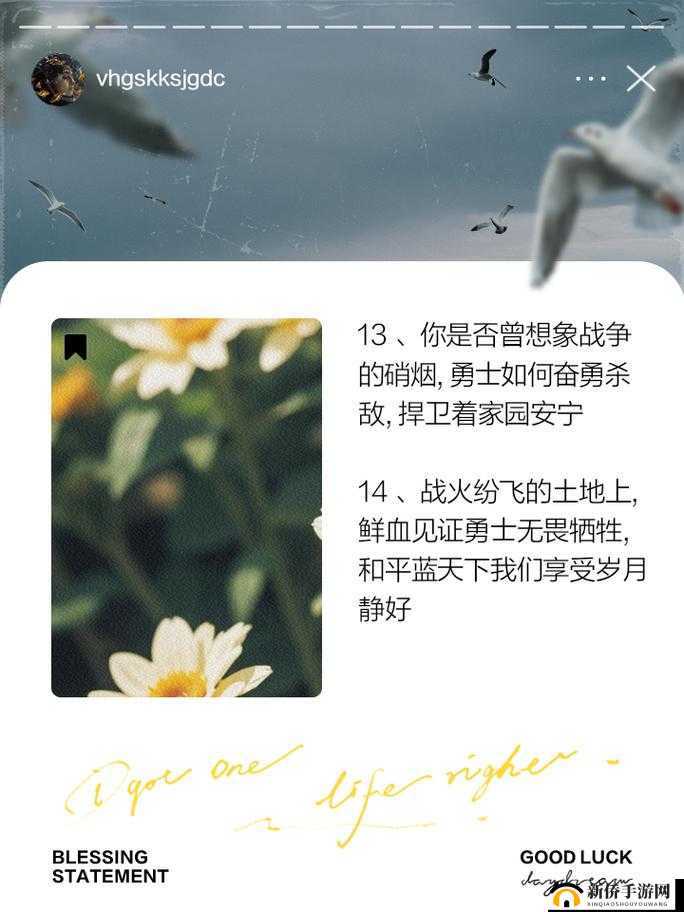 聆听勇士们的告白：传世之旅的独特心声