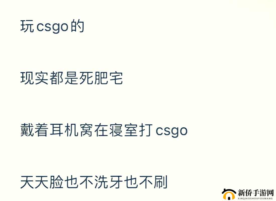 暴躁老阿姨CSGO 最新版本：实战技巧全解析