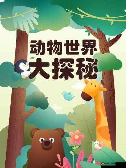 ZOOM 动物：奇妙的生物世界之旅
