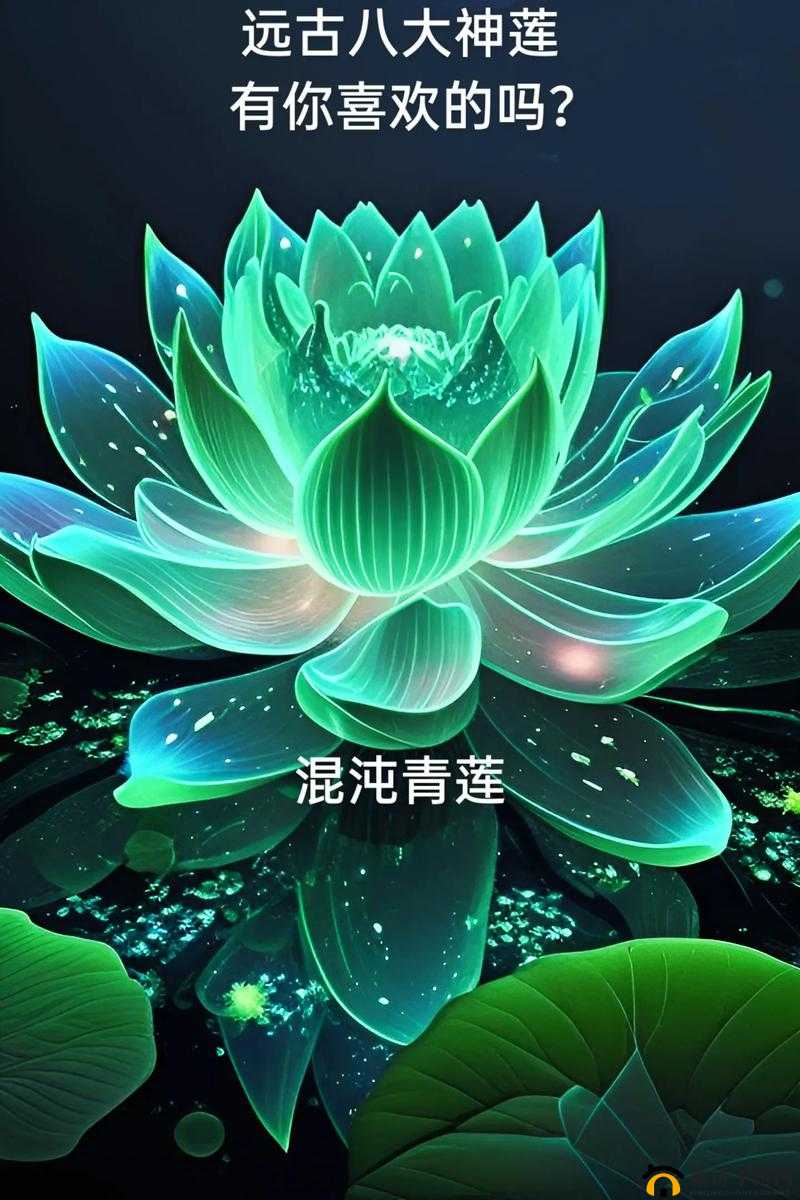 神魔之墓 15 灭世之轮隐藏英雄密码的神秘面纱与探索之旅